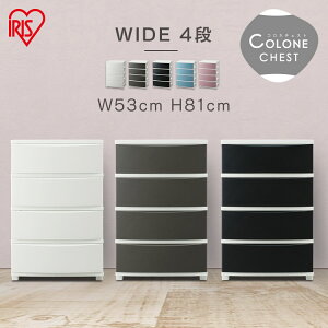 `FXg 4i rO [{bNX [P[X ^X 53 ߗގ[ [ ^X Еt ߗރP[X [P[X `FXg  [{bNX k  vX`bN o CLN-544