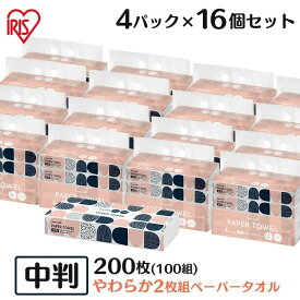 【64個】ペーパータオル 中判 2枚重ね 100組(200枚) ハンドタオル キッチンペーパー 大容量 送料無料 業務用 パルプペーパータオル レギュラーサイズ 4P×16 ピュアパルプ 手拭きペーパー スマートエール 2枚組 【D】【wkn】