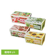 栽培キット 室内 イチゴ 枝豆 ミニトマト ミニヒマワリ 栽培セット 家庭菜園 初心者 栽培 キット 家庭菜…
