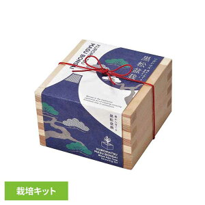 \_e}X ~͍͔|Zbg  GD-84601͔|Lbg ͔|Zbg  V| BONSAI qmL SEISHIN Mtg yY [2512SX]