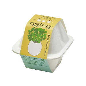 エッグリング エコ EG-6001 EG-6002 EG-6003 EG-6004 栽培キット 栽培セット たまご型ポット 聖新陶芸 SEISHIN 種から育てる eggling eco ギフト ミント バジル ワイルドストロベリー 四つ葉のクローバー