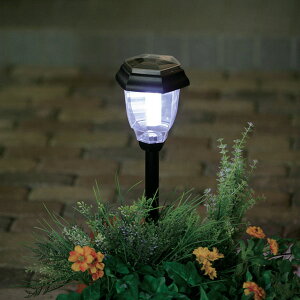 K[fCg O \[[Cg ֓ K[fp GSL-P4W ACXI[} yz [2512SX]