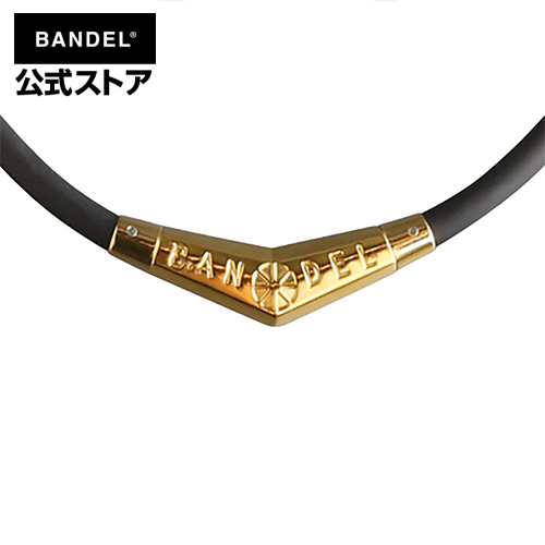 楽天市場】【送料無料】ネックレス バンデル Titanium Rubber Necklace 