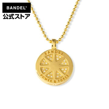 楽天市場】スポーツネックレス 846YAJIRO Rich Coin Necklace【TOP 