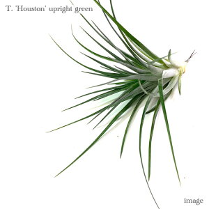 `WA q[Xg 'AbvCgO[' (GA[vc eBWA ϗtA  Ǌ| CeA ~j ^ ݂艺  q[Xg XgN^ × NrtH