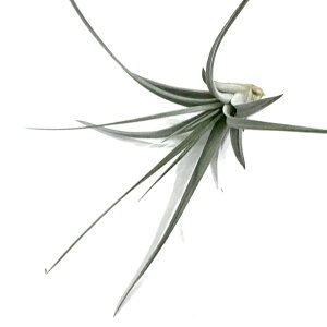 (i) `WA z('V@G' × t@VN[^ fVXsJ) (No.22048) (GA[vc eBWA ϗtA  Ǌ| CeA ~j ^ ^ ݂艺  hybrid Ch