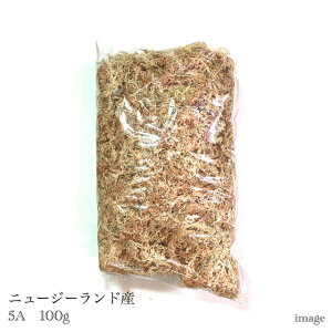  ~YSP j[W[hY 5A 100g (ϗtA  CeA ݂艺 Ǌ|  AAAAA rJNV_ RE `WA GA[vc eBWA m )