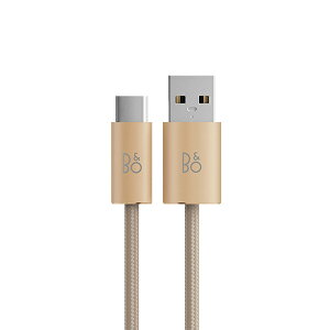 y|Cg10{I11/27 1:59܂ŁzBang & Olufsen [dP[u USB-A|USB-C XyAt@ubNP[u