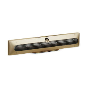 Bang & Olufsen���� Beosound Premiere�i�o���O�A���h�I���t�Z�� B��O �o���O&�I���t�Z�� �T�E���h�o�[ Bluetooth �X�s�[�J�[ Wi-Fi ���C�����X ) 5�N�ԕۏ�