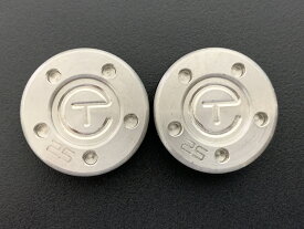 スコッティキャメロン scotty cameron パターウェイト サークルT 25g×2個セット シルバー