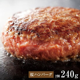 【4日20時〜 P5倍】馬肉 お取り寄せ グルメ 【単品】 桜ハンバーグ 240g（120g×2個） 複数買い お得 お祝い 贈り物 高タンパク ギフト プレゼント 青森県産（国産） クール便 土日祝発送 還暦祝い 母の日 父の日 お中元 お歳暮 早割 ギフト