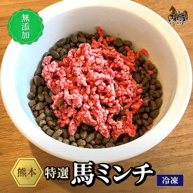 【おまとめ買い】特選 馬ミンチ 無添加 （1パック45g） 愛犬 犬 無添加 ドックフード 赤身 馬肉 ペット 定期購入 プレゼント 真空パック 長期保存 国産 クール便 土日祝発送 高タンパク 健康 毛並み 低脂肪 定期便 ギフト