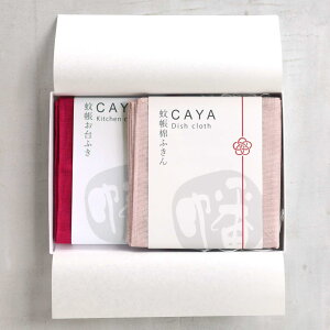 y蕨ӂ2Zbg iӂEǂӂjzӂ Mtg BOX   j oYj LOi j v[g { Y ␶n ᒠ z ӂ Hӂ 100 VRf 