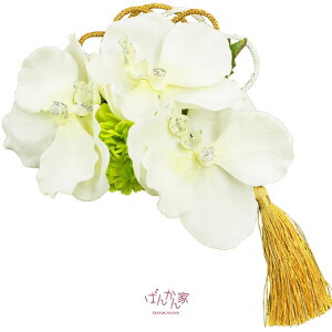  Ǝ  l   Ă΂   { 2_Zbg U }   Ӓ zCg  l gR p[eB o p ܎O  a hX  