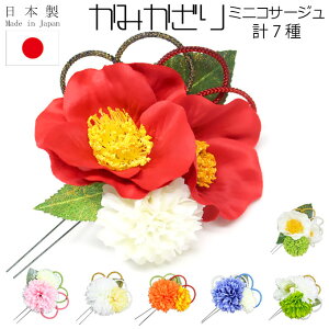  Ǝ  l ܎O  w  q  w Vv  p U OB  hX  񂴂  RT[W wAANZT[  ~jRT