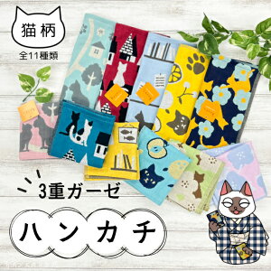 3 dK[[ nJ` L S11 L cat ^InJ` K[[ fB[X v[g Mtg  aG