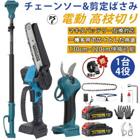 高枝電動のこぎり 高枝充電式剪定ばさみ 3 in 1 の組み合わせ 6インチ 充電式 チェーンソー 1.34m-2.13m伸縮式延長ポール付き 21V コードレス 電動チェーンソー ブラシレスモーター搭載 パワフル プロ伐採 園芸 木工 4.0Ahリチウムバッテリー2個