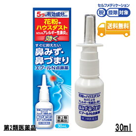 【第2類医薬品】エプールN点鼻薬 バンキョードラッグ 点鼻薬 鼻炎薬 鼻炎 鼻 詰まり 市販 薬 スプレー 点鼻スプレー 花粉 ハウスダスト くしゃみ 鼻水 鼻づまり 市販薬 効く ナファゾリン塩酸塩 リドカイン 1日3回 鼻炎スプレー 使用期限：2026年3月