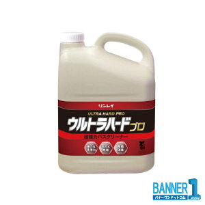 Egn[hv ̓oXN[i[4L Ɩp C