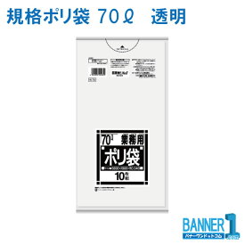 ゴミ袋 70L 日本サニパック 業務用 N-73 透明 LLDPE 厚み0.040mm 10枚x1冊
