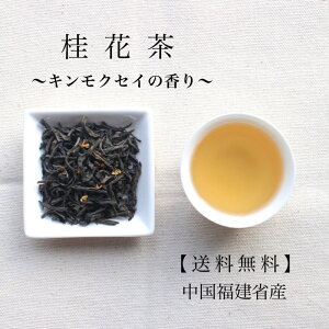 jԒ 500gpbNyzzւɂđXS  o Ԓ t [t ⒃ Β ؍ LNZC t[o[eB[ eB[^C   Â D Ɩp 