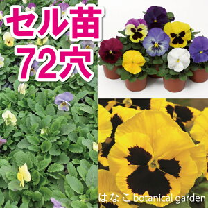 パンジー 苗の人気商品 通販 価格比較 価格 Com パンジー 苗の人気商品 通販 価格比較 価格 Com