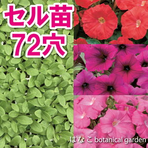 苗 ペチュニア 花の人気商品 通販 価格比較 価格 Com 苗 ペチュニア 花の人気商品 通販 価格比較 価格 Com