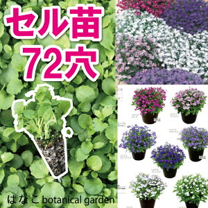 苗 ロベリアの人気商品 通販 価格比較 価格 Com