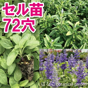 yԂ̃vZzu[TrA@A@7270{@@vOc@d@Ɨp@Ɩp@Zc