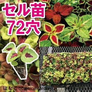 yԂ̃vZzREX@EBU[h@~bNX@7270{ @@d@Ɨp@Ɩp@vOc@Zc