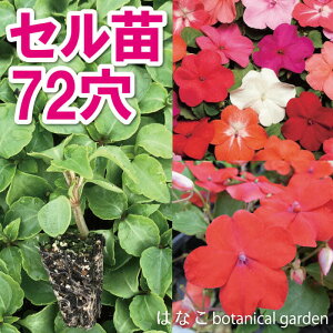 yԂ̃vZRzCp`FX@~bNX@7270{@@vOc@d@Ɨp@Ɩp@Zc