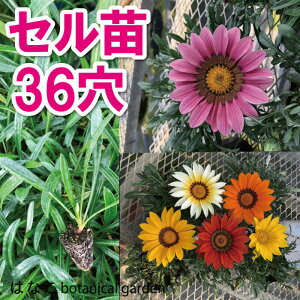 yԂ̃vZz@KUjA@~bNX@3634{@@vOc@d@Ɨp@Ɩp@vOc@Zc