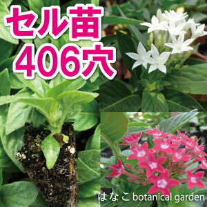 yԂ̃vZRz@y^X@OtBeB@~bNX@406360{@@d@Ɨp@Ɩp@@vOc@Zc