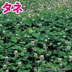 yԂ̃^lEzzCgN[o[@40ml(20ml×2)@{I@K[fjO@Ή@zN@Δ@~co`@lt̃N[o[@iϗp앨@yǁ@OhJo[