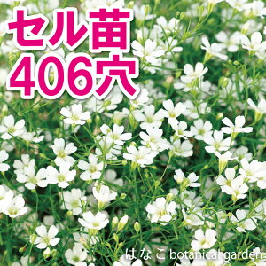 yԂ̃vZzWv\tB@WvV[@zCg@ݑ@@406360{@@d@Ɨp@Ɩp@@Zc@vOc