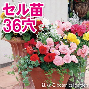 yԂ̃vZRzxSjA@tH[`@~bNX@3634{@vOc@@d@Ɨp@Ɩp@@Zc