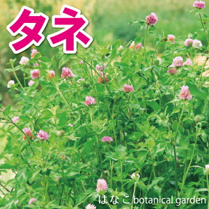 yԂ̃^lEzAJN[o[@bhN[o[@40ml(20ml×2)@{I@K[fjO@Ή@zN@Δ@~co`@lt̃N[o[@iϗp앨@yǁ@OhJo[