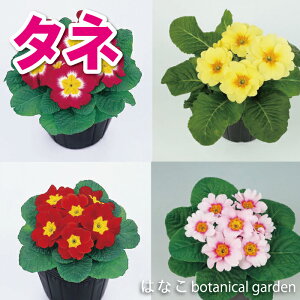 VoIIyԂ̃^lzvEAv~bNXi30j