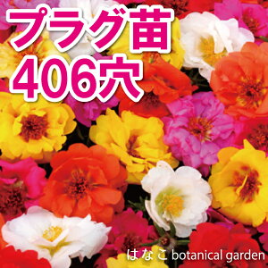 yԂ̃vZz|[`J(tڂ)@nbs[A[@406360{@@d@Ɨp@Ɩp@Zc@vOc