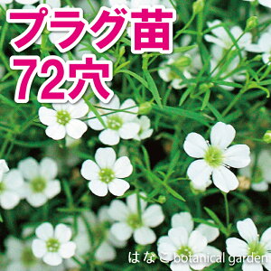 yԂ̃vZzWv\tB@WvV[@zCg@ݑ@@7270{@@d@Ɨp@Ɩp@@Zc@vOc