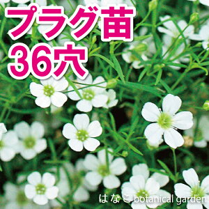 yԂ̃vZRzWv\tB@WvV[@zCg@ݑ@@3634{@@d@Ɨp@Ɩp@@vOc@Zc