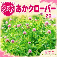 【花のタネ・種】アカクローバー　レッドクローバー　20ml　養蜂　ガーデニング　緑化　越年草　緑肥　ミ…