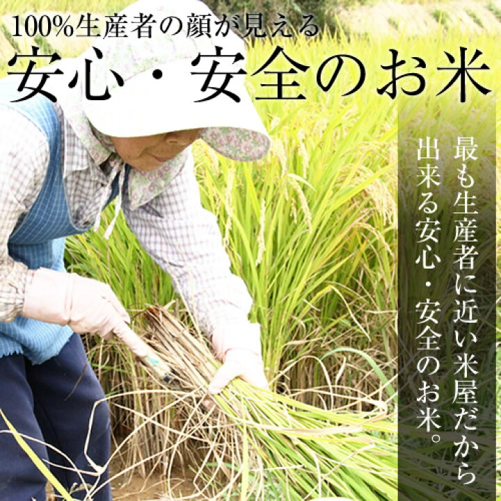 ☆新米☆乾式無洗米4年産京都府産ひのひかり10kg(5kg×2袋) お米 米 無洗米 10kg 送料無料 : おいしいお米 「米蔵」(こめくら) ☆新米☆乾式無洗米4年産京都府産ひのひかり10kg(5kg×2袋) お米 米 無洗米 10kg 送料無料 : おいしいお米 「米蔵」(こめくら)