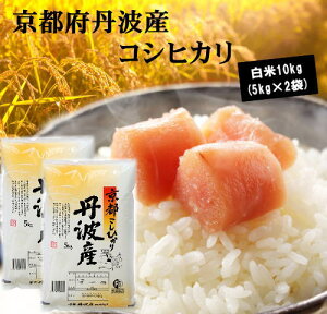 Vā7Ns{OgYЂ10kg(5kg×2) 10kg   Ђ RVqJ (ꌧ͏)ysmtb-kzykbz