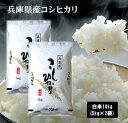 6年産兵庫県産こしひかり10kg(5kg×2袋) お米 米 10kg 送料無料(沖縄県は除く) コシヒカリ こしひかり