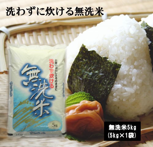 米 お米 推奨 無洗米 5kg 複数原料米 ブレンド米 100％安い 洗わずに炊ける無洗米5kg×1袋 送料無料