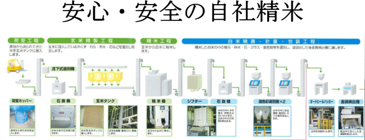 楽天市場】6年兵庫県産ひのひかり10kg(5kg×2袋) お米 米 10kg 楽天市場】6年兵庫県産ひのひかり10kg(5kg×2袋) お米 米 10kg