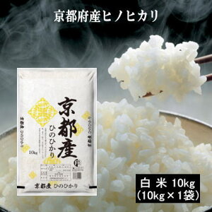 6Ns{YЂ̂Ђ10kg(10kg×1) qmqJ   10kg (ꌧ͏)