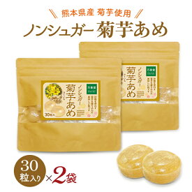 【お得な2袋セット】シュガーレス 飴 キャンディー 菊芋 きくいも キクイモ 30粒×2 あめ 送料無料 お菓子 ノンシュガー 糖質オフ 糖質制限 のど飴 ハーブキャンディー アメ