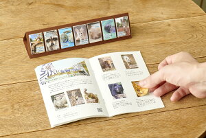 2025N himekuri ߂J_[ ~jǊ|J_[p䎆t ubNbg S4 ˂ Ɖ [ ǂԂ񁕂 킢 ݂炵 E2025Nt S